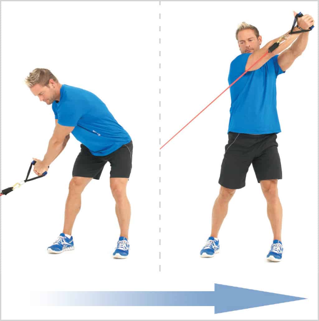 Rotation du buste de bas en haut